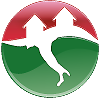 italiaREISEN Logo